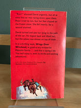 Wings Over Witchend