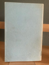 The Turbulent Term of Tyke Tiler (uncorrected proof)