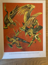 Jason and the Golden Fleece