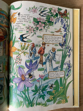 The Lion, the Witch and the Wardrobe