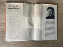 Comet in Moominland