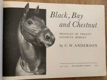 Black, Bay and Chestnut - Profiles of Twenty Favourite Horses (signed)