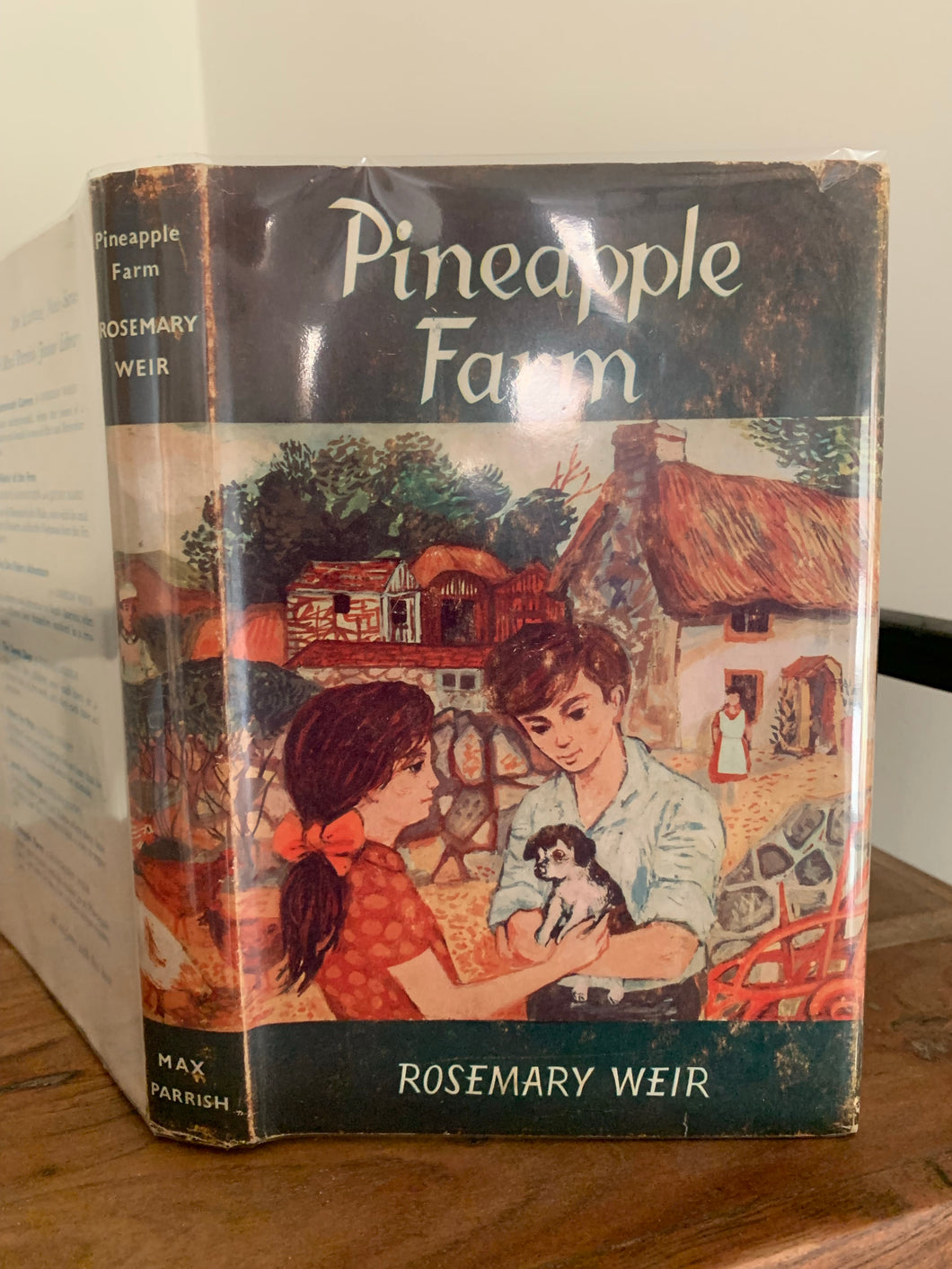 Pineapple Farm