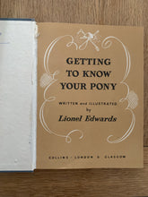 Getting To Know Your Pony