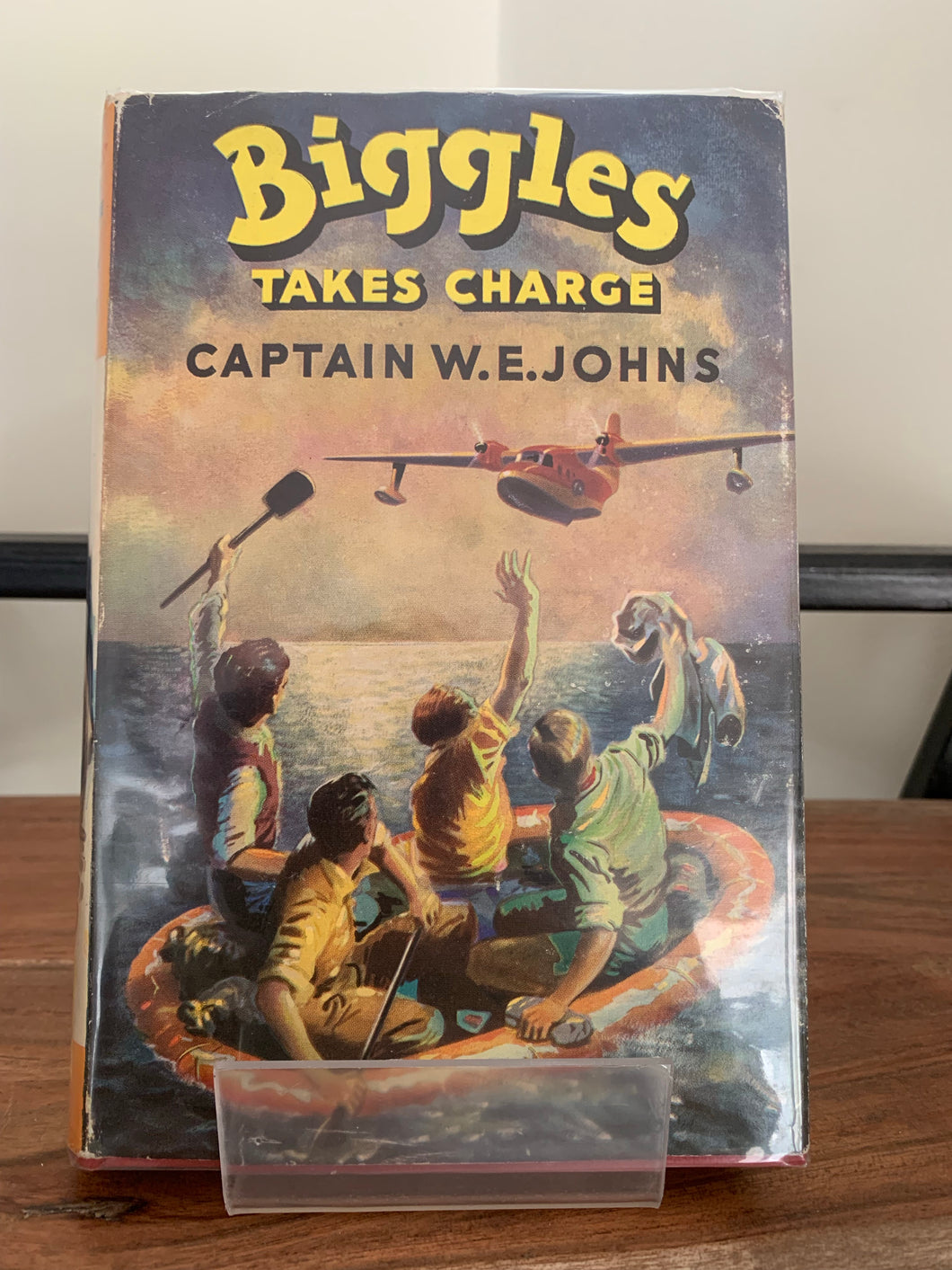 Biggles Takes Charge