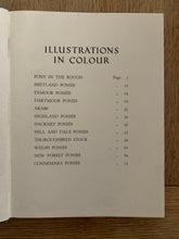 Getting To Know Your Pony