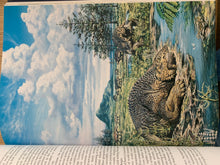 Dinosaurs - A Global View