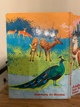 Faraway in Fairyland