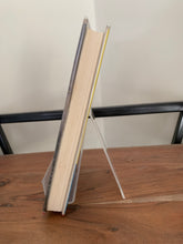 Biggles Takes Charge